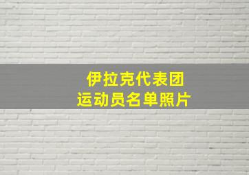 伊拉克代表团运动员名单照片