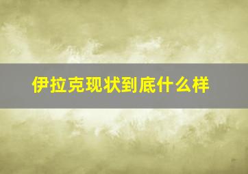 伊拉克现状到底什么样