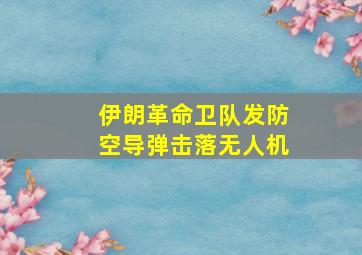 伊朗革命卫队发防空导弹击落无人机