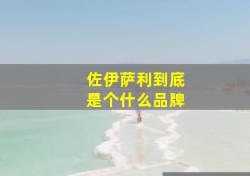 佐伊萨利到底是个什么品牌