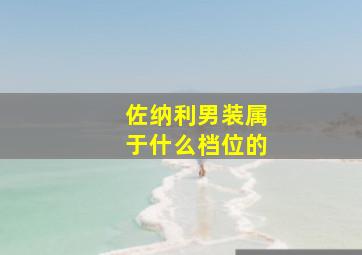 佐纳利男装属于什么档位的