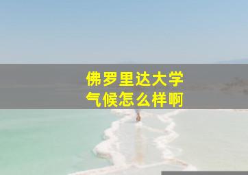 佛罗里达大学气候怎么样啊