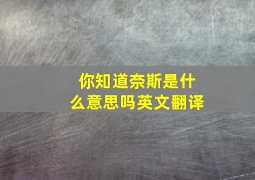 你知道奈斯是什么意思吗英文翻译