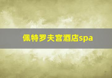 佩特罗夫宫酒店spa