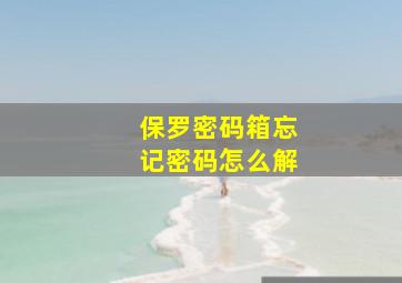 保罗密码箱忘记密码怎么解