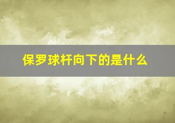 保罗球杆向下的是什么