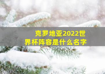 克罗地亚2022世界杯阵容是什么名字