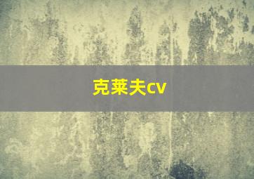 克莱夫cv