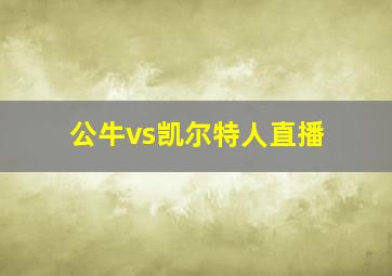 公牛vs凯尔特人直播