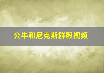 公牛和尼克斯群殴视频