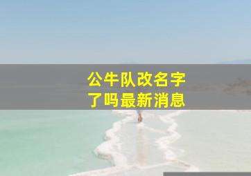 公牛队改名字了吗最新消息