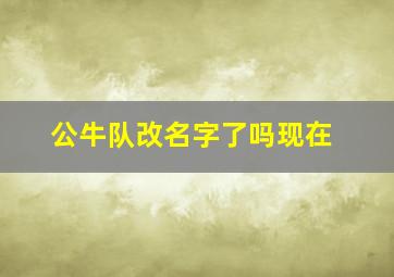 公牛队改名字了吗现在