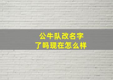 公牛队改名字了吗现在怎么样