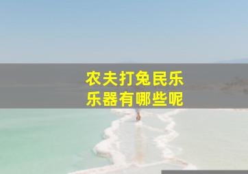 农夫打兔民乐乐器有哪些呢