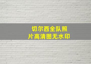 切尔西全队照片高清图无水印