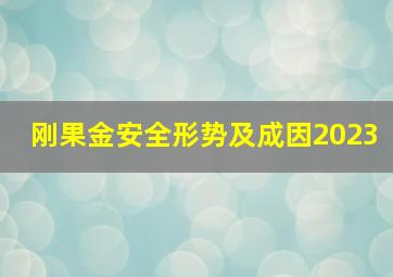 刚果金安全形势及成因2023