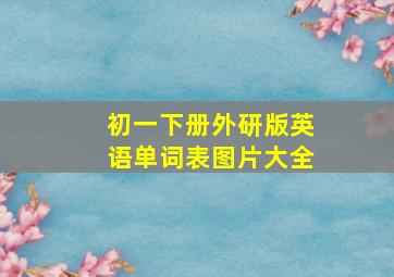 初一下册外研版英语单词表图片大全