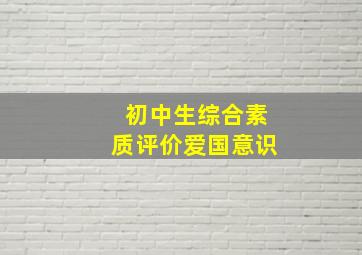 初中生综合素质评价爱国意识