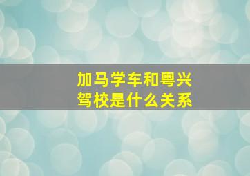 加马学车和粤兴驾校是什么关系