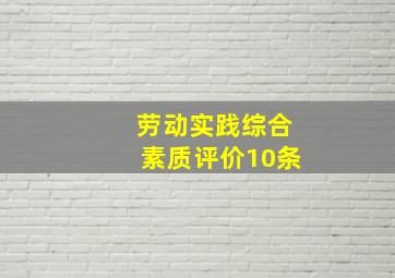 劳动实践综合素质评价10条