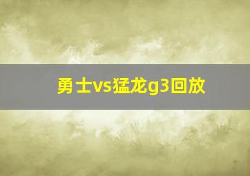 勇士vs猛龙g3回放