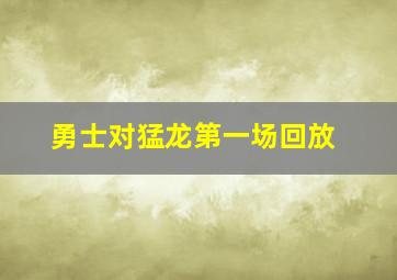 勇士对猛龙第一场回放