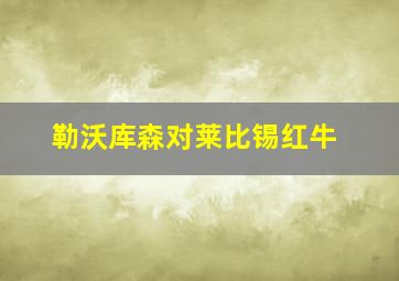 勒沃库森对莱比锡红牛