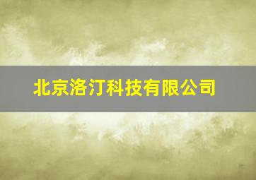 北京洛汀科技有限公司