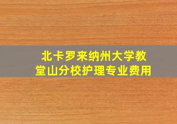 北卡罗来纳州大学教堂山分校护理专业费用