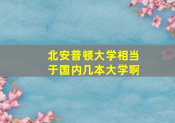 北安普顿大学相当于国内几本大学啊