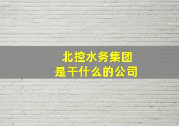 北控水务集团是干什么的公司