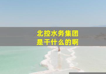 北控水务集团是干什么的啊