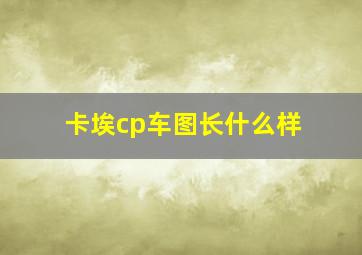 卡埃cp车图长什么样