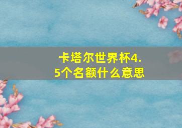 卡塔尔世界杯4.5个名额什么意思