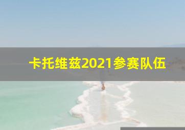 卡托维兹2021参赛队伍