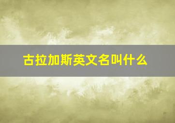 古拉加斯英文名叫什么