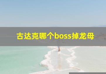 古达克哪个boss掉龙母