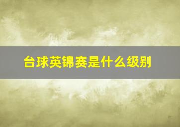 台球英锦赛是什么级别