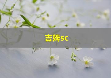 吉姆sc