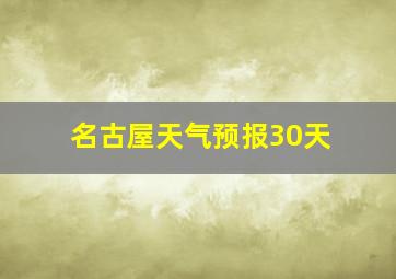 名古屋天气预报30天