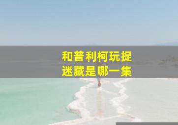 和普利柯玩捉迷藏是哪一集