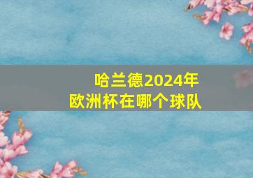 哈兰德2024年欧洲杯在哪个球队