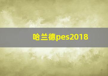 哈兰德pes2018