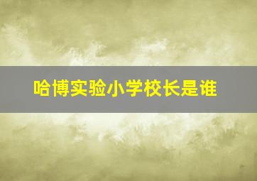 哈博实验小学校长是谁