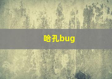 哈孔bug