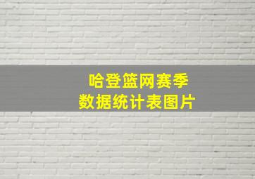 哈登篮网赛季数据统计表图片