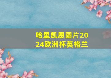 哈里凯恩图片2024欧洲杯英格兰