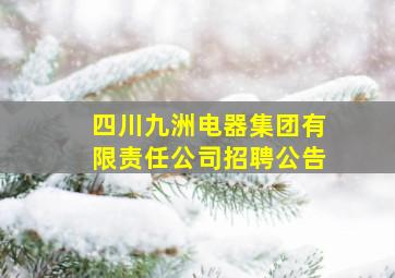 四川九洲电器集团有限责任公司招聘公告