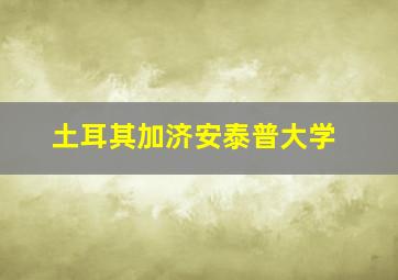 土耳其加济安泰普大学