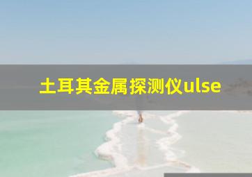 土耳其金属探测仪ulse